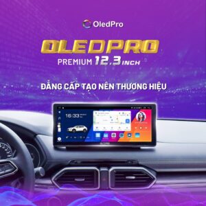 Màn hình OledPro Premium 12.3 inch