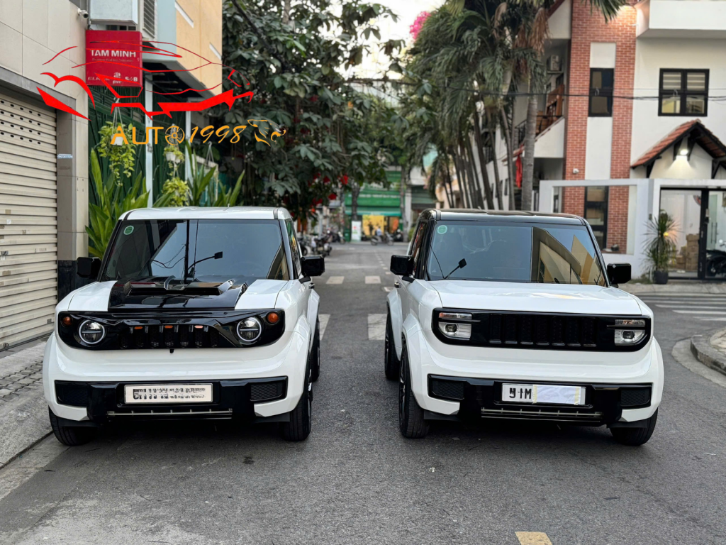 Mặt quạo VF3