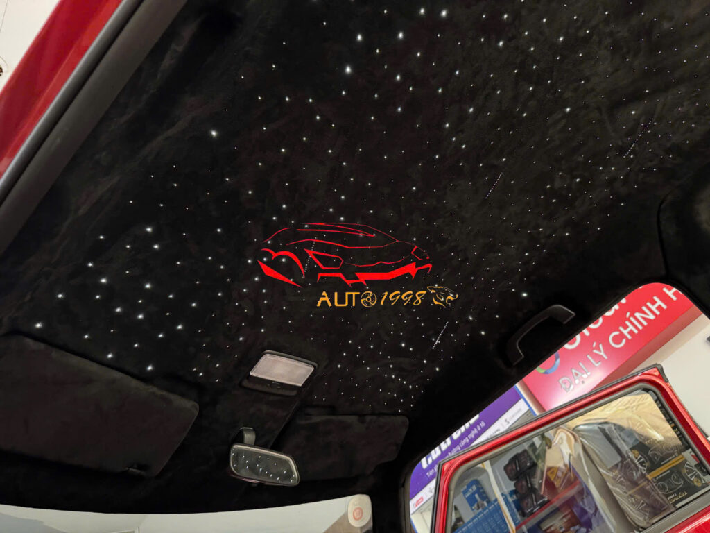 da lộn alcantara vf3