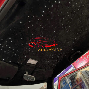 da lộn alcantara vf3